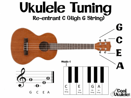 konstant Arkitektur Geografi What are the Notes on a Ukulele? Tuning/Fretboard Notes on Staff, etc. |  CoolUkulele.com