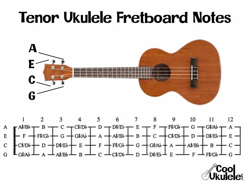 Tenor Ukulele Fretboard Notes