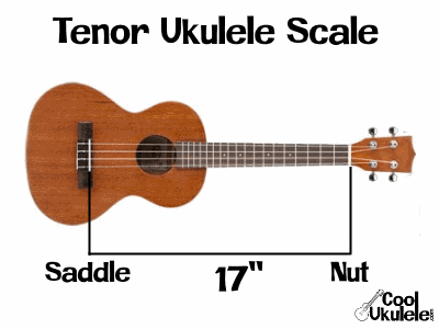Tenor Ukulele Scale