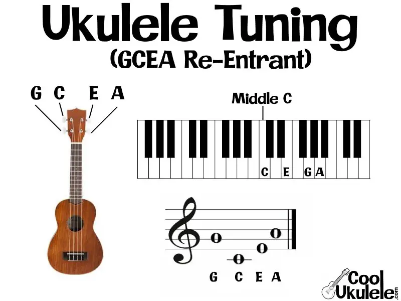 Baritone Ukulele Tuning - Standard Notes (DGBE) - Tune-Up NOW!