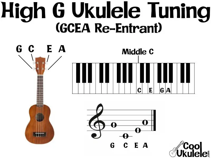 Ukulele Low G vs. High G: The Tuning Tango