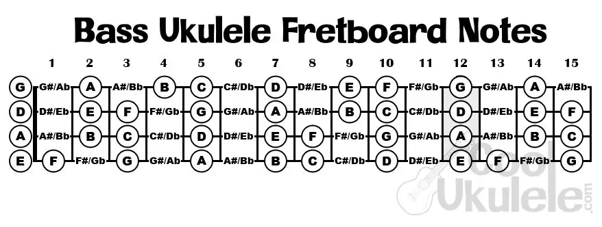 Bass Ukulele Fretboard Notes