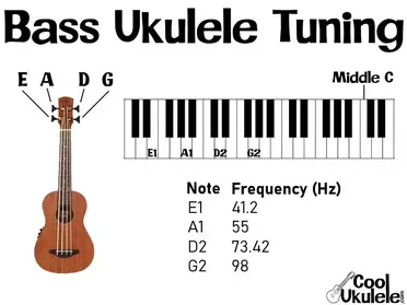 Bass Ukulele Tuning - Standard EPIC Guide | CoolUkulele.com
