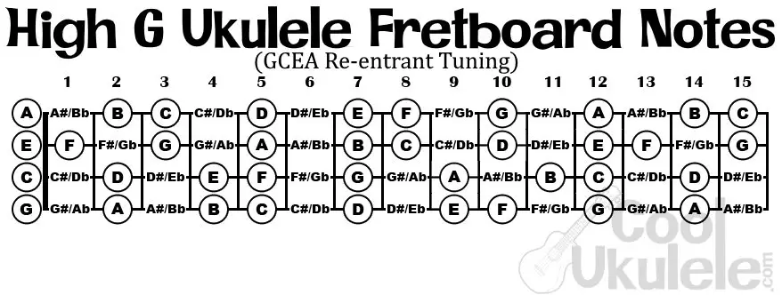 Ukulele Low G vs. High G: The Tuning Tango